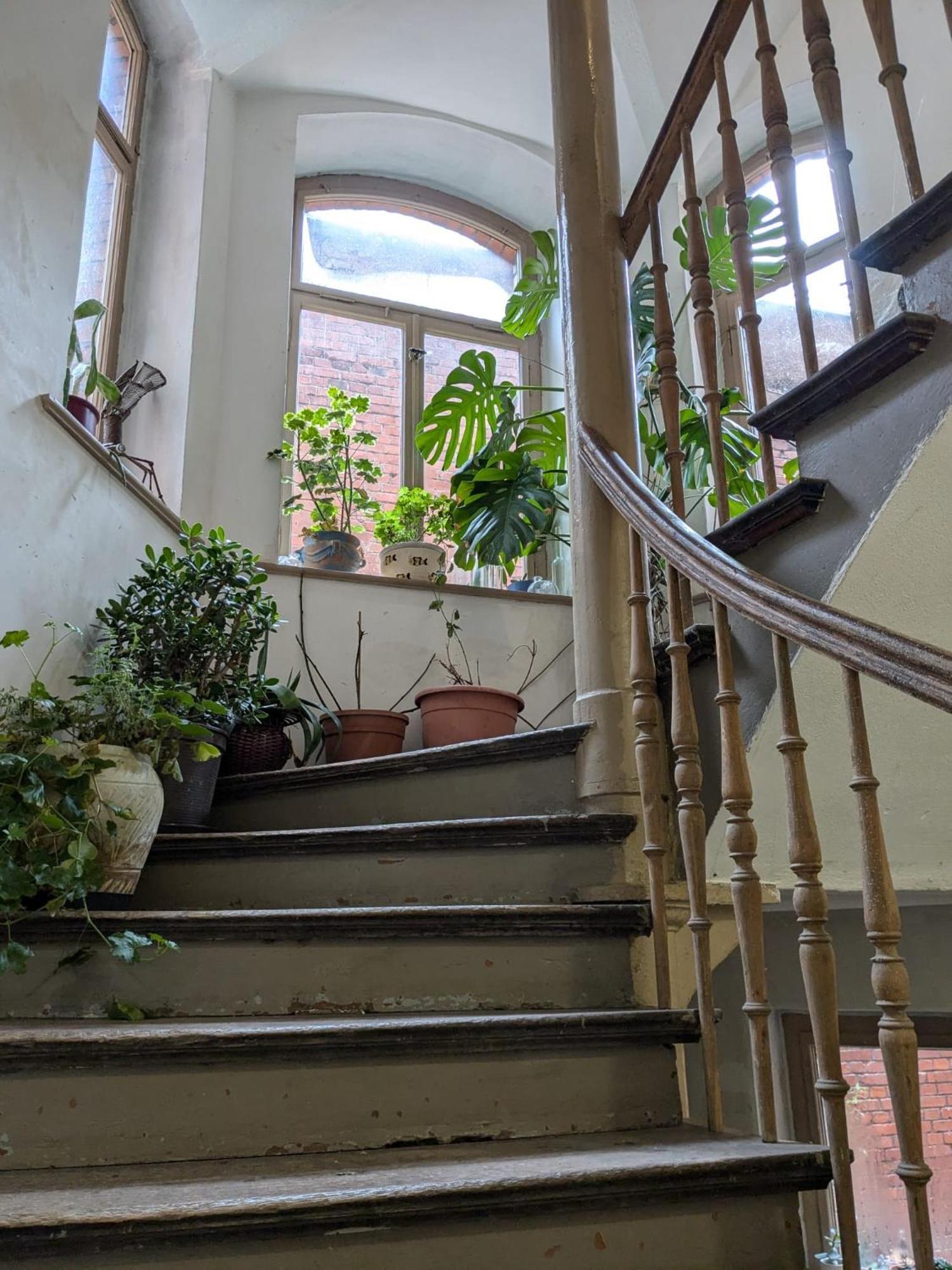 גותה Ferienwohnung Antik מראה חיצוני תמונה