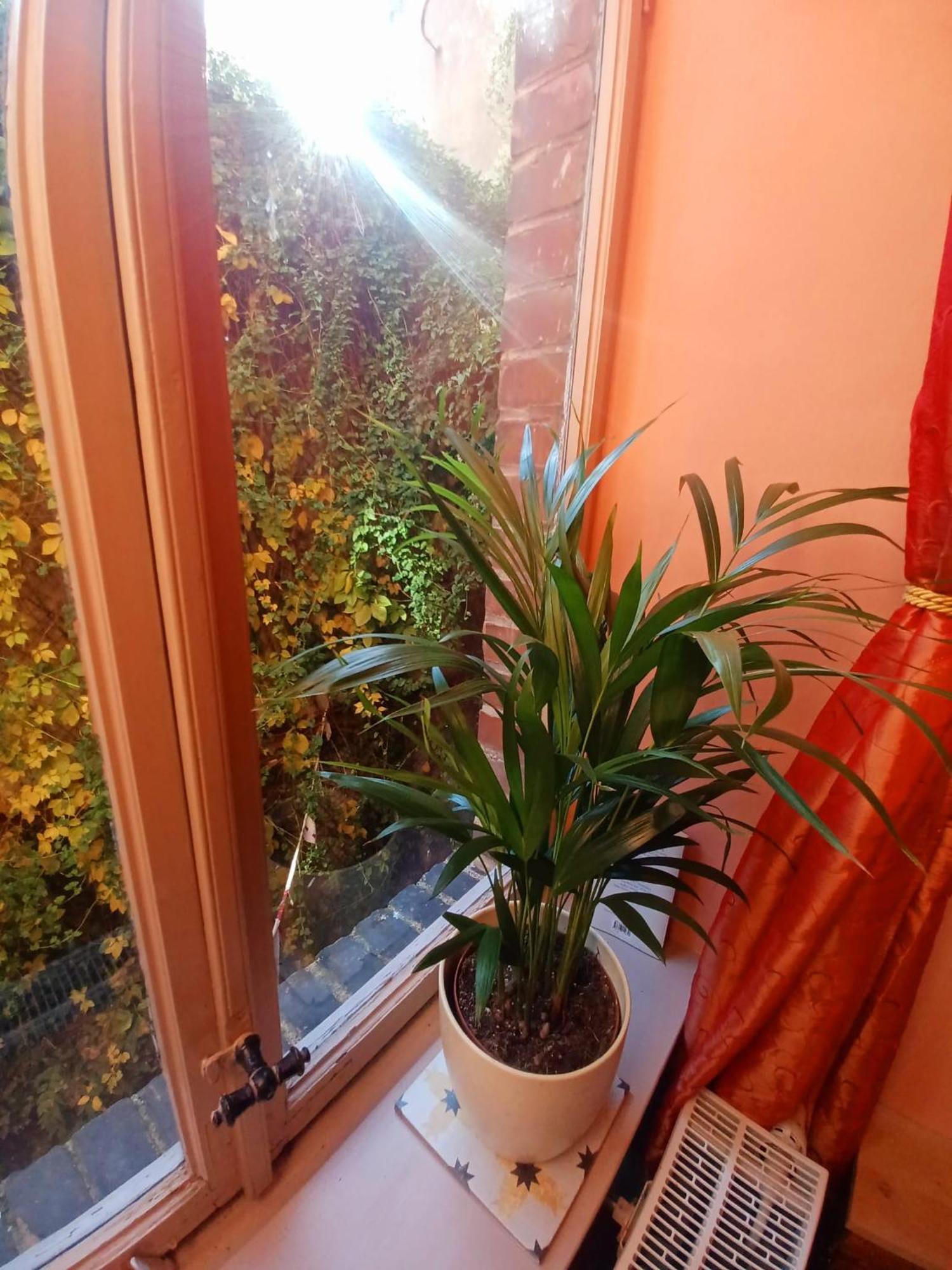גותה Ferienwohnung Antik מראה חיצוני תמונה